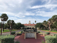 Texas A&M University - Kingsville