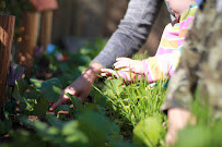Austin Forest School