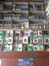 Kamadgiri Seeds LLP | Seeds company India |