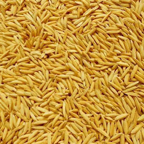 Sk Seed Farm AGRICULTURE SEEDS
