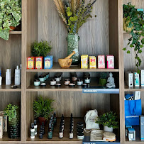Freya MediSpa & Wellness