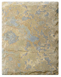 California Slate Company