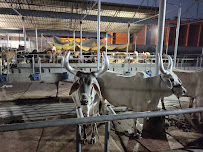 Zenith Associates Abattoir & Livestock Farms