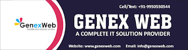 Genex Web Solutions Private Limited (Software Company in Jaipur)