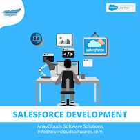 AnavClouds Software Solutions Pvt Ltd
