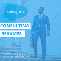 AnavClouds Software Solutions Pvt Ltd