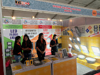 Future Lighting Solar India Limited