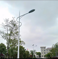Future Lighting Solar India Limited