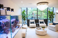 Old Town Med Spa (Lincoln Park)