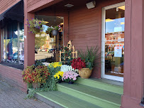 Essence Wellness Spa
