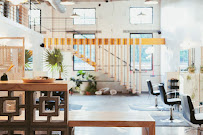 Holiday Salon & Bathhouse