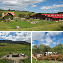 Eupepsia Wellness Center