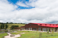 Eupepsia Wellness Center