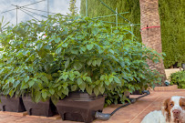 Spices on the Web.co.uk