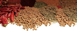 World of Spice Ltd