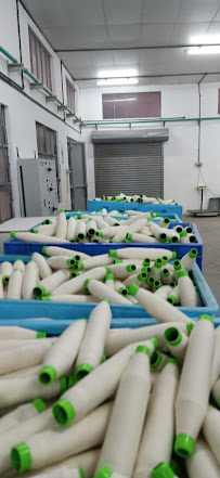 SHRI DHANALAKSHMI GROUP