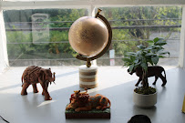 Amee Psychotherapy, LLC