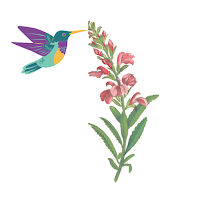 Colorado Wildflower Counseling