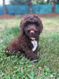 Art Therapy & Creative Counseling LLC