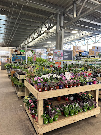 DEWALT Service Center