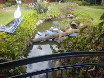 Wamy Academy-strive to excel