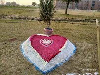 Muhammad Nawaz Sharif University of Engineering & Technology, Multan