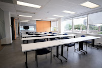 Gestalt Institute Of Toronto - Reclaim Your Knowing of What It Means to Be Alive