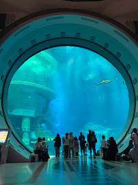 Bhramanti Tourism