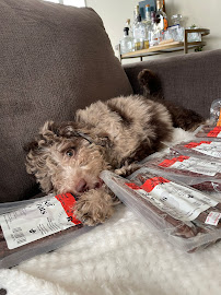 Atlas Pet Company