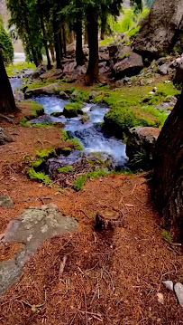 Shahzad Travel and Tours | Rent a car Lahore | Staff transport service |Private trips & tours