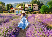 Guru Travel-an Authorized Disney Vacation Planner