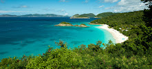 Mosaic Shores Travel Co, LLC