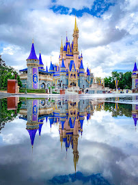 Wish to Reality Travel