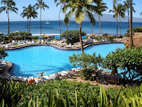 Vitamin Sea Travel LLC- The Way To Go Travel
