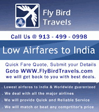 Fly Bird Travels
