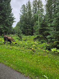 Travel Dreamz Travel Agency