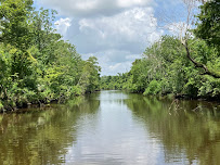 Cajun Pride Swamp Tours