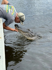 Ultimate Swamp Adventures