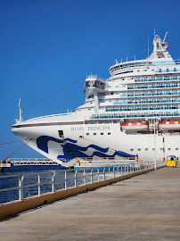 Dreaming of Travel - Danielle Spence Travel Agent