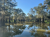 River of Swamps Boat Tours