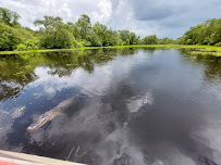 Atchafalaya Basin Landing Airboat Swamp Tours