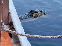 Atchafalaya Basin Landing Airboat Swamp Tours