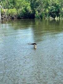Nola Pedal Barge - Swamp Tour Party Boat