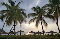 Bentley Travel Services
