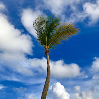 Tidewater Cruise and Travel LLC