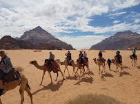 Unforgettable Trips