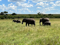 Muthaiga Travel