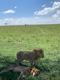 Muthaiga Travel