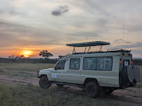 Beacon Safaris