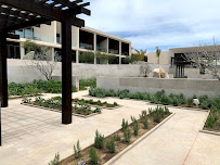 Anywhere But Here Travel, Inc.